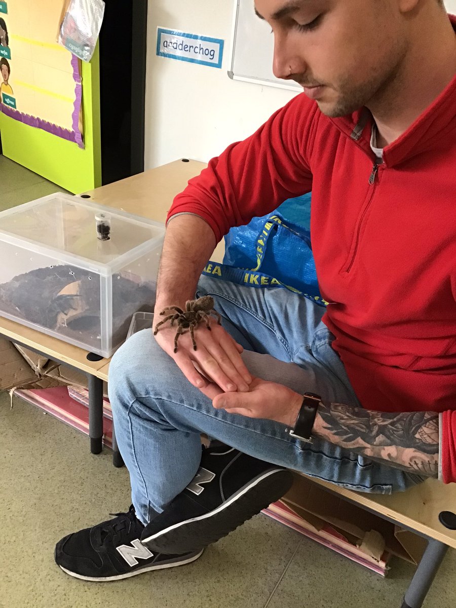 ysgolygarnedd's tweet photo. Diolch Mr Liam! #prycop #Dan5 #anifeiliaidyjyngl https://t.co/Vn1yuY5Kov