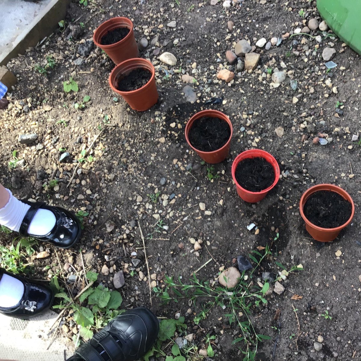 PlatformHousing's tweet photo. There's lots happening for Communities Connected - Earlier this week we ran a computer games event for the over 50s and planted sunflower seeds with St Stephens School in #Droitwich

Find out what's going on here: https://t.co/tBzMwwPbnZ 

#getinvolved #platformhousinggroup https://t.co/G9mV1PcZX2