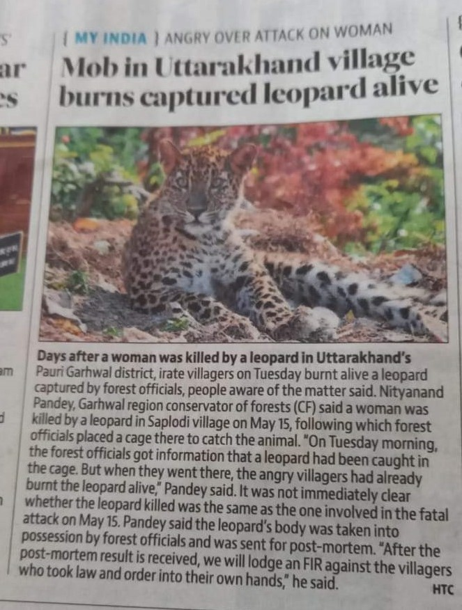 prernabindra's tweet photo. Horrific. heartbreaking. a #leopard burnt alive in #uttarakhand
human #Wildlife #conflict https://t.co/Y8SwpKBORh