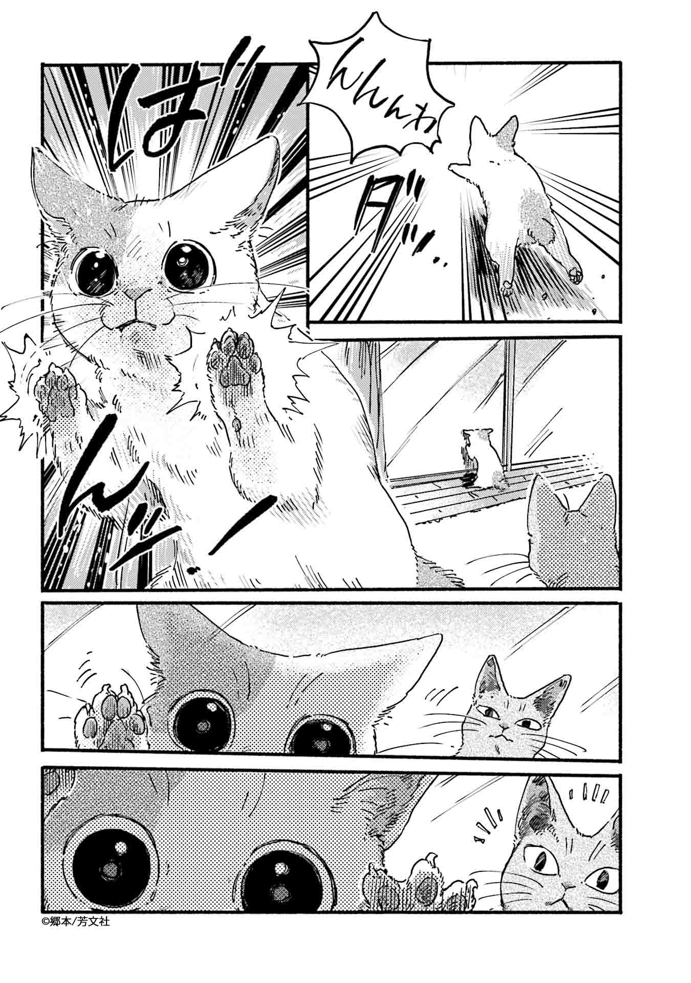 Yumi Nekonotsumetogi Twitter