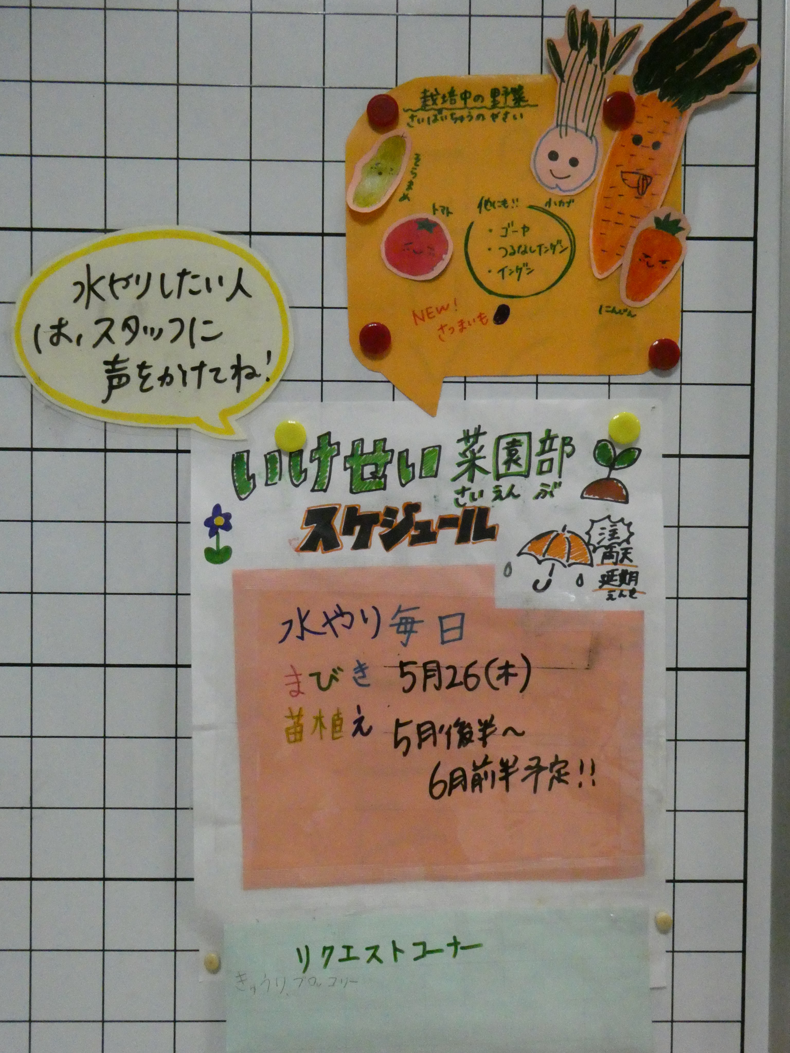 池之上青少年交流センター いけせい菜園部 の植物はすくすく育っています プランターにある看板は若者が描いてくれました イラストのようなカブが収穫できるのが今から楽しみです 本日5月26日 木 はみんなで間引きをする予定です 興味がある人は