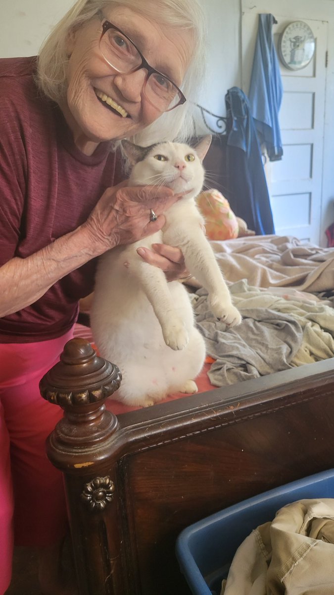 jackiesummers (@jackiesummersjs) on Twitter photo 