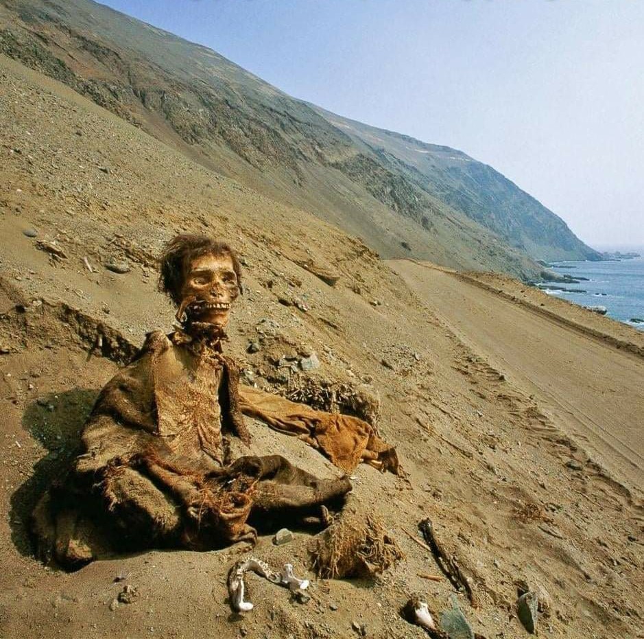 archeohistories's tweet image. A long-buried corpse, preserved by one of Earth's driest climates, Chile's Atacama Desert, where it has retained centuries-old skin, hair and clothing.
Dated around 5020 BC.

Chinchorro mummies, discovered in early 20th Century CE.

#archaeohistories