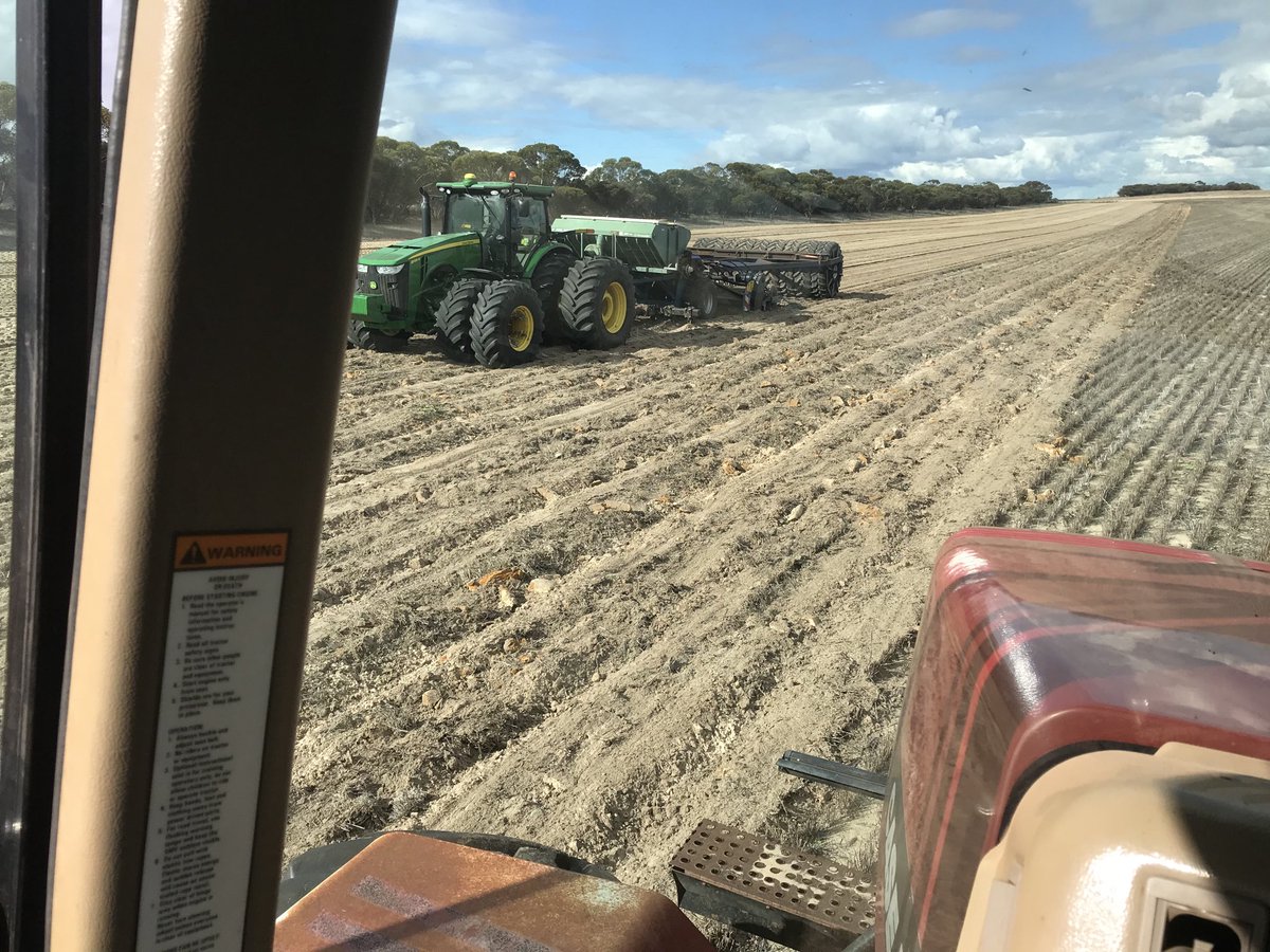 Lubin Stringer tweet media