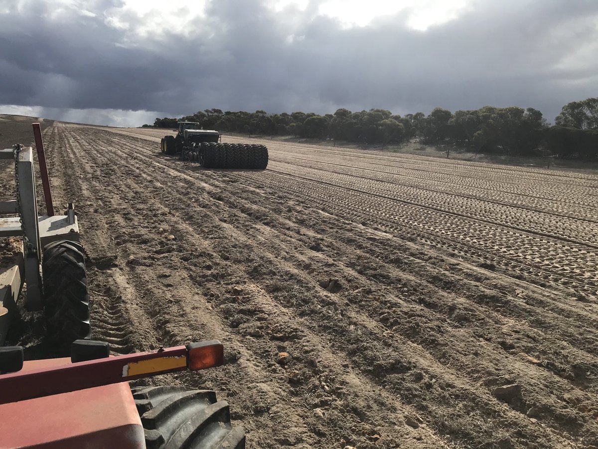 Lubin Stringer tweet media