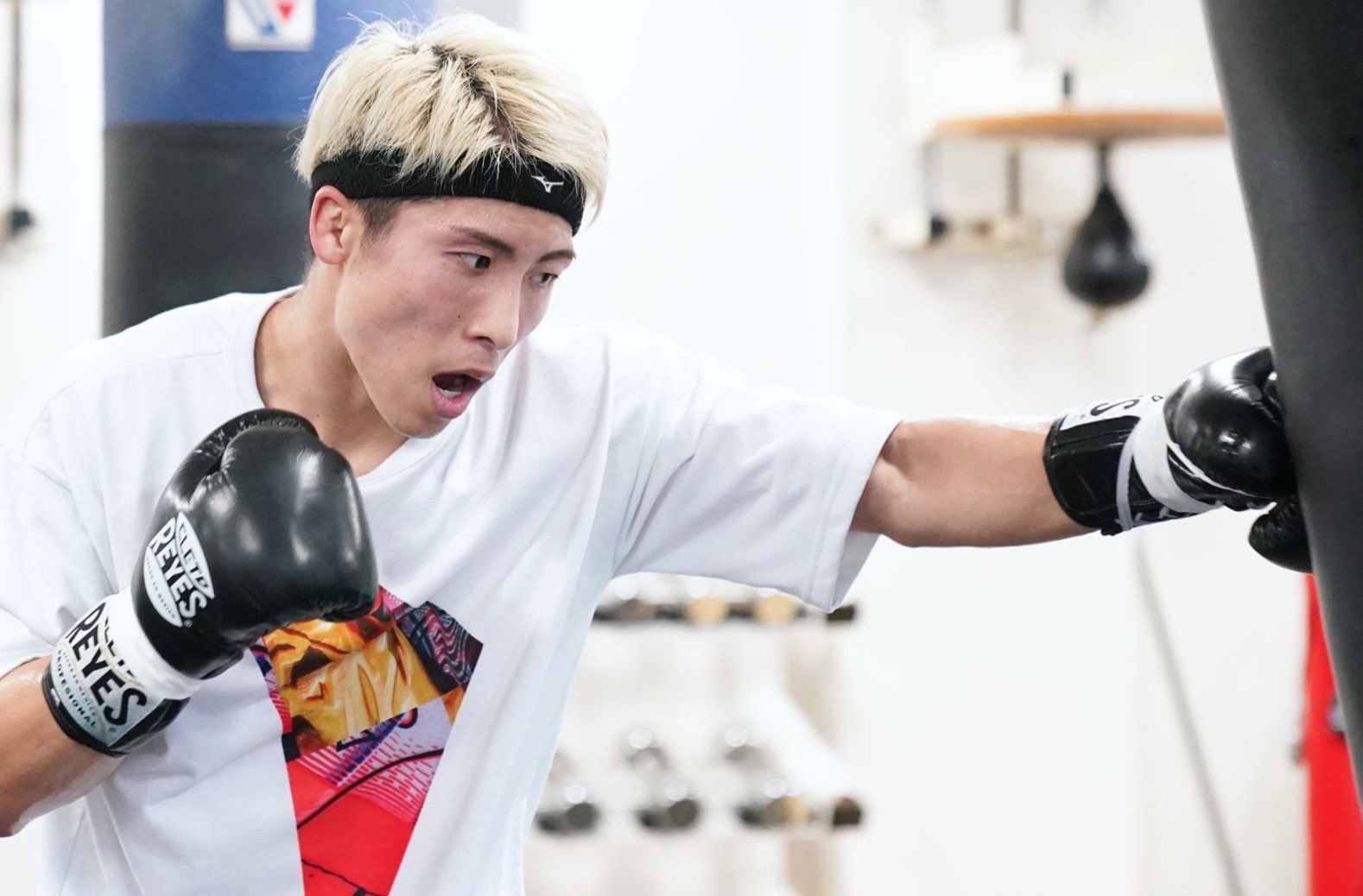 井上尚弥 グローブ ドネア ボクシング