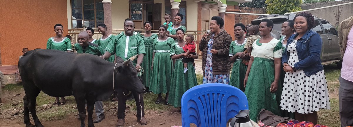 It was a wonderful time officiating a function where women were telling their succesful  story after using UWEP funds. Yesterday they launched a cow project. Yes Government projects once used well alot can be achieved. Long live Nzogera women produce group. Long live Uganda
