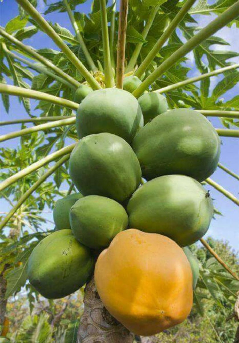 Namirembe Angella Maria tweet media