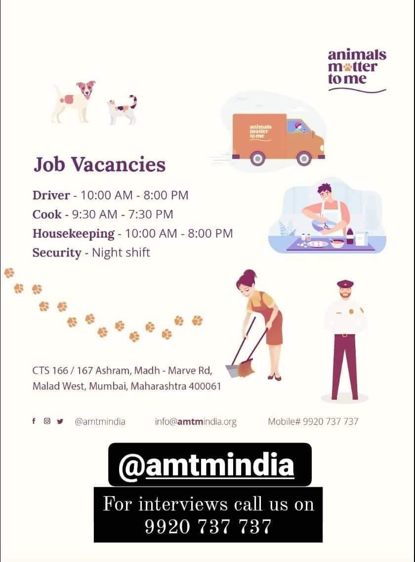 KritiKumar24's tweet photo. @amtmindia is hiring!
For all who care for animals & are passionate about working with them.
Please call on 9920 737 737.
To know more, visit us at: https://t.co/BbA8ZHtA2J
#insupport #ngo #jobs #Hiring #animalrescue #animalcare https://t.co/vMPkvtUfb4