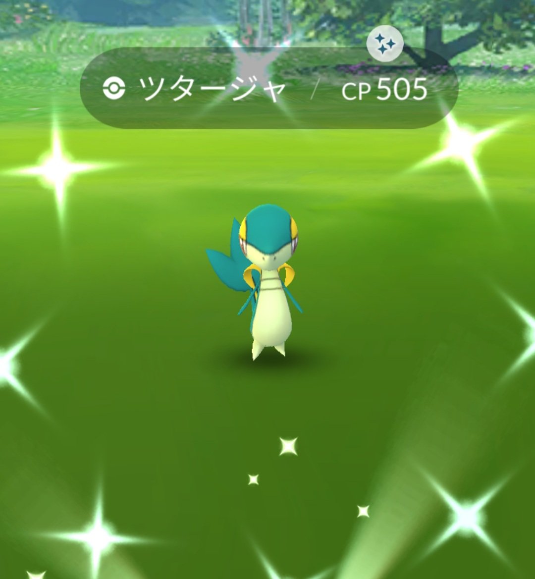 モンサポ 色違い ツタージャ ゲットだぜ コミュニティデイ 以外では初めて ヽ ﾉ 先日 ジャローダ を最強最愛に育てたけど そのお祝いかな ポケモンgo Pokemongo T Co Xruto9kuud Twitter