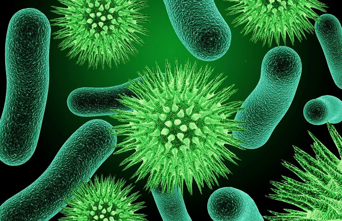 HomeopathyPlus's tweet photo. Study: Arnica and UV Damage.
Many know of Arnica's benefits following a bruise or injury but who knew it could repair genetic damage from the sun's ultra-violet radiation - at least in bacteria?
https://t.co/TW7I7ghLFP
#arnica #UVdamage https://t.co/R3tQ9K7PPh