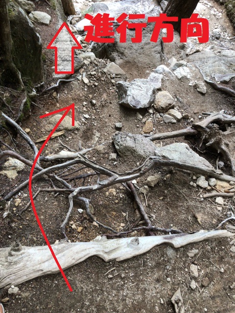 yamanashi_M_R's tweet photo. ５月２５日、＃瑞牆山 で山岳遭難が発生し救助しました。遭難者は頂上から下山途中、地図の赤印地点で、木の根をまたぎ段差を下りようとしたところ、着地を誤り転倒し、腰を強打して骨盤骨折の重傷を負っています。着地する足下の状態をよく観察し、足の置き方にも注意をしましょう！＃山梨山岳遭難 https://t.co/P1h5u7w5uF