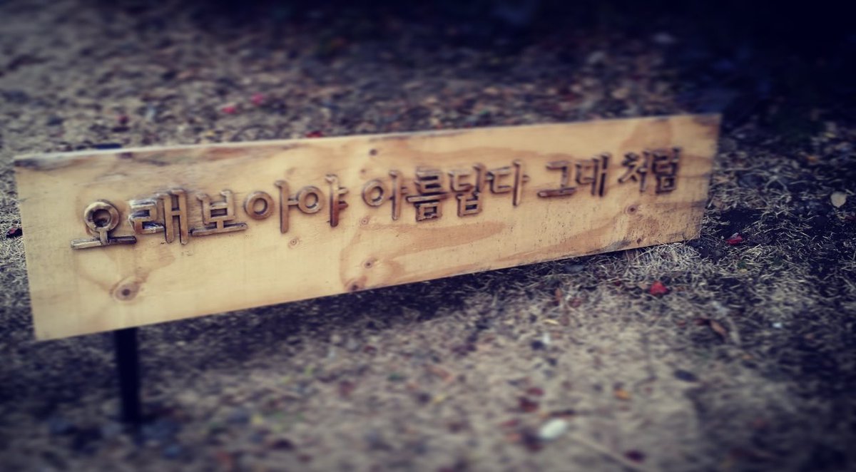 이용민 (@leeyongmin0916) on Twitter photo 