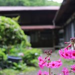 ツイートに含まれる画像