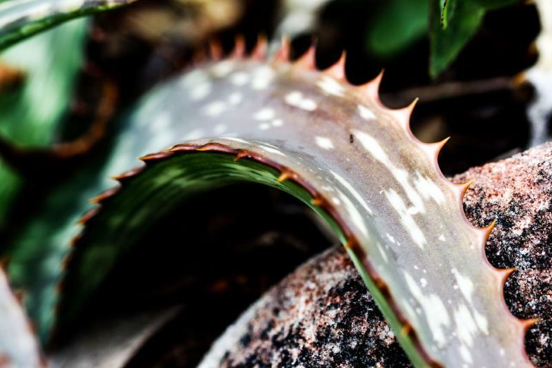 Gareth Lennox tweet media