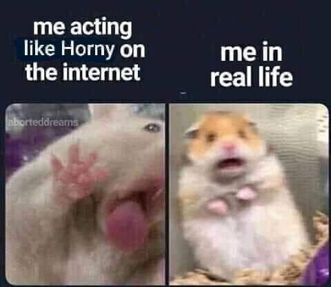 Horney AF tweet media