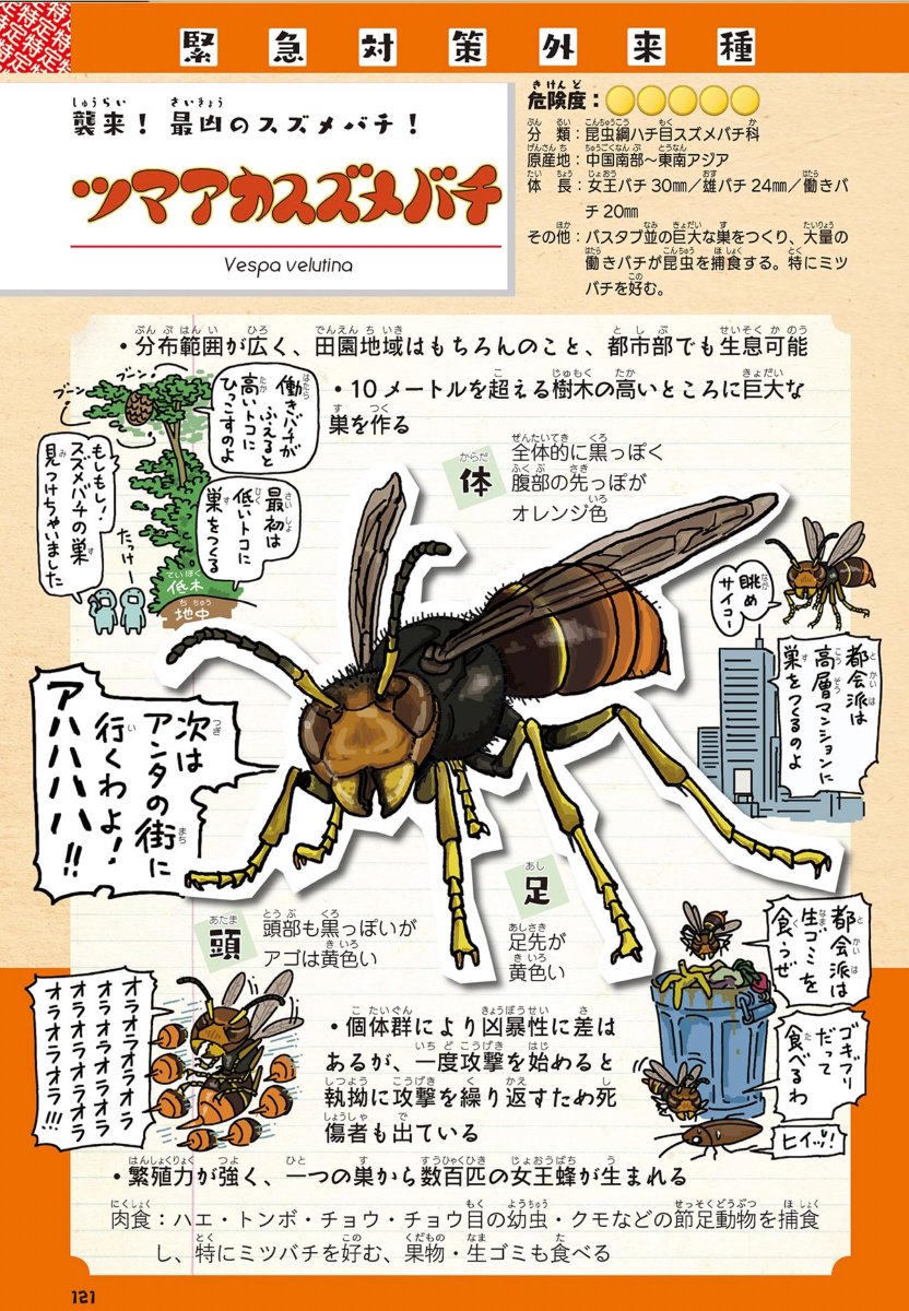 『侵略!🦞外来生きもの図鑑』
(https://t.co/wUlTyi3cWK)
は特にオススメです。というか、Eテレのギョギョッとサカナ☆スターでニジマス。昆虫すごいぜ!で、クビアカツヤカミキリとかを取り上げてほしい。 