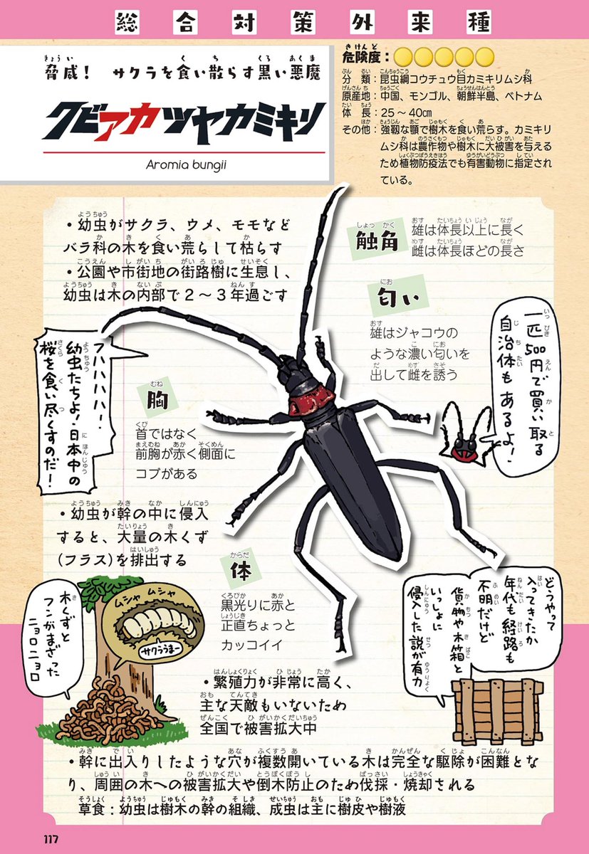 『侵略!🦞外来生きもの図鑑』
(https://t.co/wUlTyi3cWK)
は特にオススメです。というか、Eテレのギョギョッとサカナ☆スターでニジマス。昆虫すごいぜ!で、クビアカツヤカミキリとかを取り上げてほしい。 