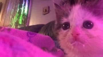 CrisCherry11's tweet photo. @vtaekook_jk Contexto https://t.co/LCSujWljA1