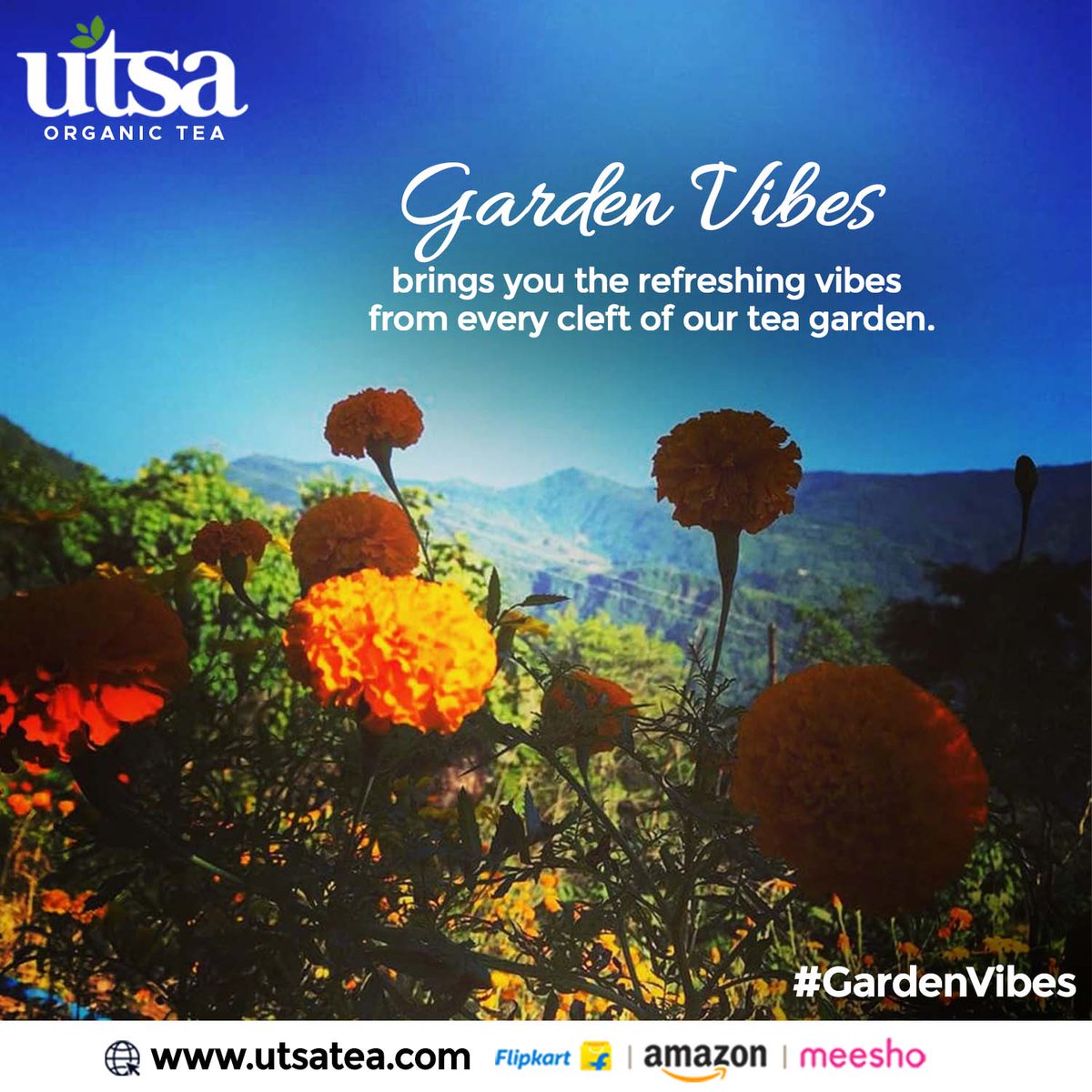 UtsaTea's tweet photo. Teas for the connoisseur in you!
.
.
.
Buy From
Flipkart: https://t.co/j8wvhmfUBl
Amazon: https://t.co/5lE1wsuTfv
https://t.co/jspGBgwGCB
.
.
#goodmorning #morning #nature #utsatea #Utsa #Tea #tealovers #GreenTea #BlackTea #healthylifestyle #organic https://t.co/F5bSOCvH9q