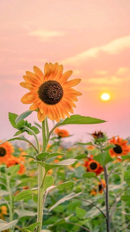 Nurse ✍️
@Rinasonc
<a href="/_rf05/">🖌️R. Atalay</a>
@1kbi_
<a href="/Chaly751/">Timur Selçuk</a> 
@1kralim
@turknetli 
@Duonva
@cicegiyagmur1
@drYasser74
<a href="/TlayAnl1903/">TüL🅰️y</a>
@1Asiay
 <a href="/CSertbolat/">Cengiz SERTBOLAT🇹🇷</a>
<a href="/pnrvdt1/">pnr</a>
@1ahal1
<a href="/Aziza67471601/">🇹🇷🇦🇿 Aziza Barış 🇦🇿🇹🇷</a>
<a href="/bnuring/">Büşra</a>
<a href="/PRani_7/">Professor Sundas (I Stand With Civil Supremacy)</a>
<a href="/aliglds/">aliglds</a>
@_Ashet
<a href="/muGSFA/">muGSfa</a>
<a href="/Cemalddn/">Cemal D</a>
@90AYDD
<a href="/Ceylo_1/">Ceylin</a>
<a href="/63O06/">®️€M⭕ 🗣️📣 Gt VAR</a>
<a href="/Pilcure/">Die sklavinnen greta</a>
<a href="/SkylerFleur/">254K✨✹ irene ✹✨➐</a>
<a href="/Czg57/">TC.CAN</a>