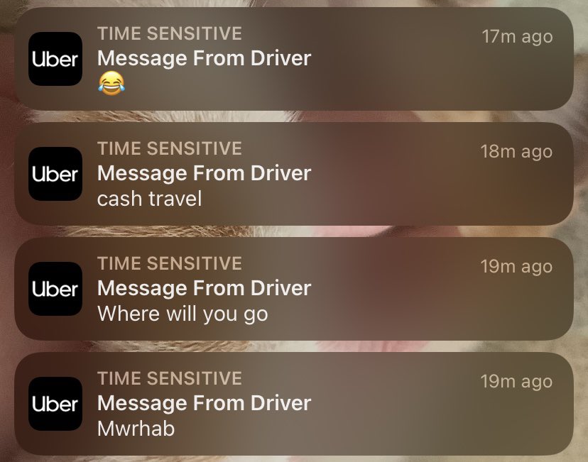 mwrhab cehenneme sür mümkünse