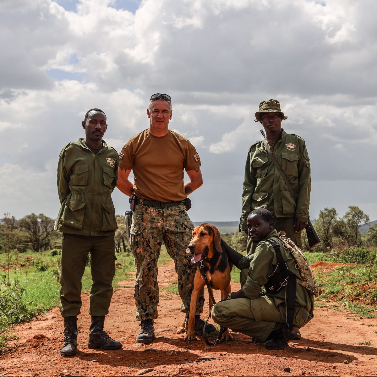 daryllpleasants's tweet photo. The new K9 Tracker section at the Laikipia Nature Conservancy in Kenya under training with ASA. #Frontlinek9 #conservation #trackerdogs #africa https://t.co/b0eQHYGCk9