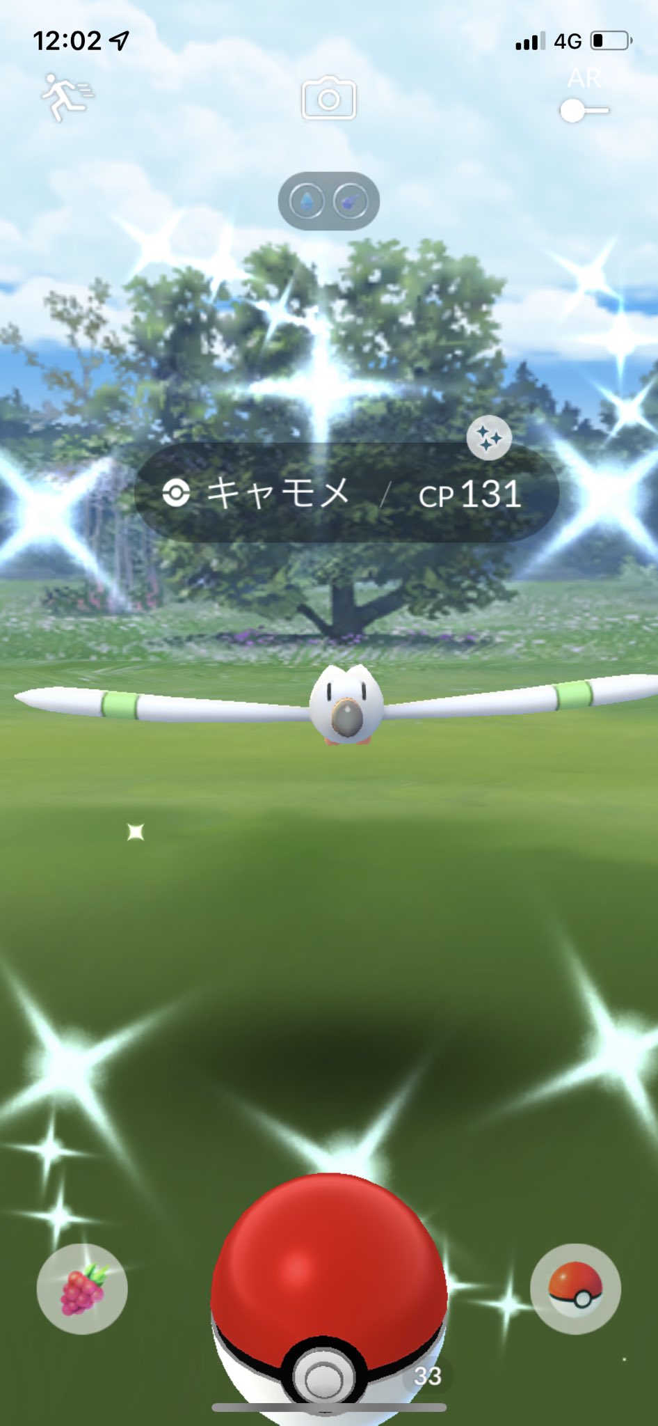 メキパラ もっち 初キャモメきた 前のイベントから追い続けてたやつ これだからポケモンgoはやめられない ポケモンgo 色違いポケモン キャモメ T Co Vurymu9vv2 Twitter