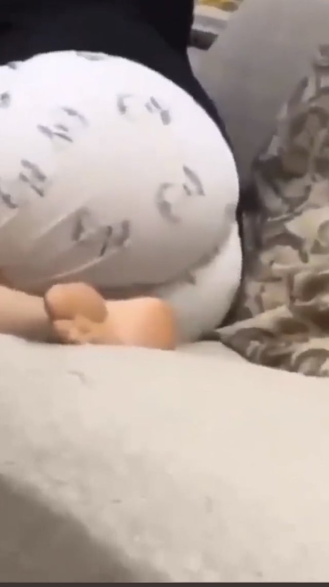 كلبز نجران (@soso61174193) on Twitter photo 