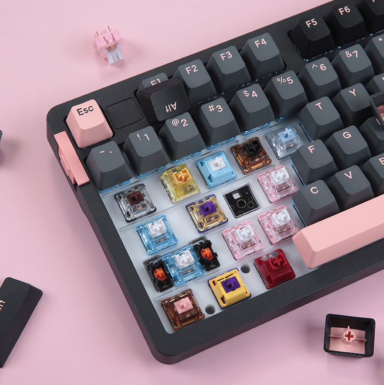 bzfuture_com's tweet image. Cool and sweet,easily hit my heart!💗
Dareu A98 Mechanical Gaming Keyboard
👉Search A98 on bit.ly/3PC8bAG
Use discount code: BZMT
Flash deals is in ongoing! bit.ly/3NARSSW

#bzfuture #bzfsetup #bzfuturecom #pcsetup #keyboard #gamingkeyboard #dareu #dareua98