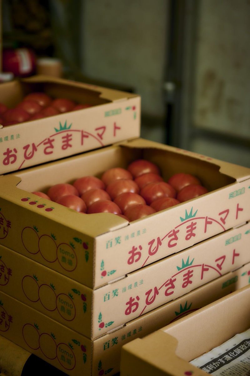 大地の恵みを浴びて育った
こだわり野菜🍅
おひさまトマト✨

赤ちゃんが初めて食す離乳食には、トマト本来の味がするトマトを食べて貰いたい👶

大切な人には本物の味を！！🐝

#おひさまトマト #有機野菜  #循環農法　
#トマト　#離乳食  #こだわり野菜  #百笑