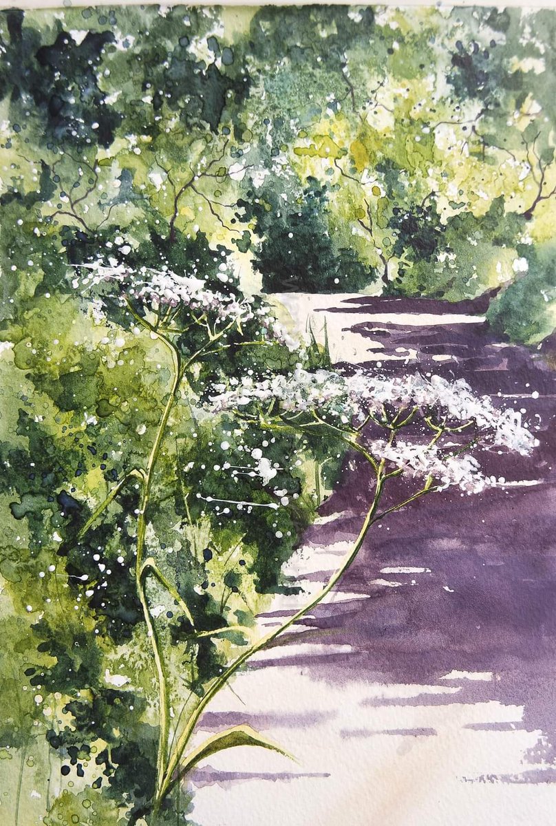 The lanes are full of clouds of cow parsley, the greens are everywhere.

Happy Thursday x

#watercolour #watercolourpainting #devonlane #landscape #trees #summer #cowparsley #shadows #hedgerows #greens #countryside #painting #ArtistOnTwitter #twitterart