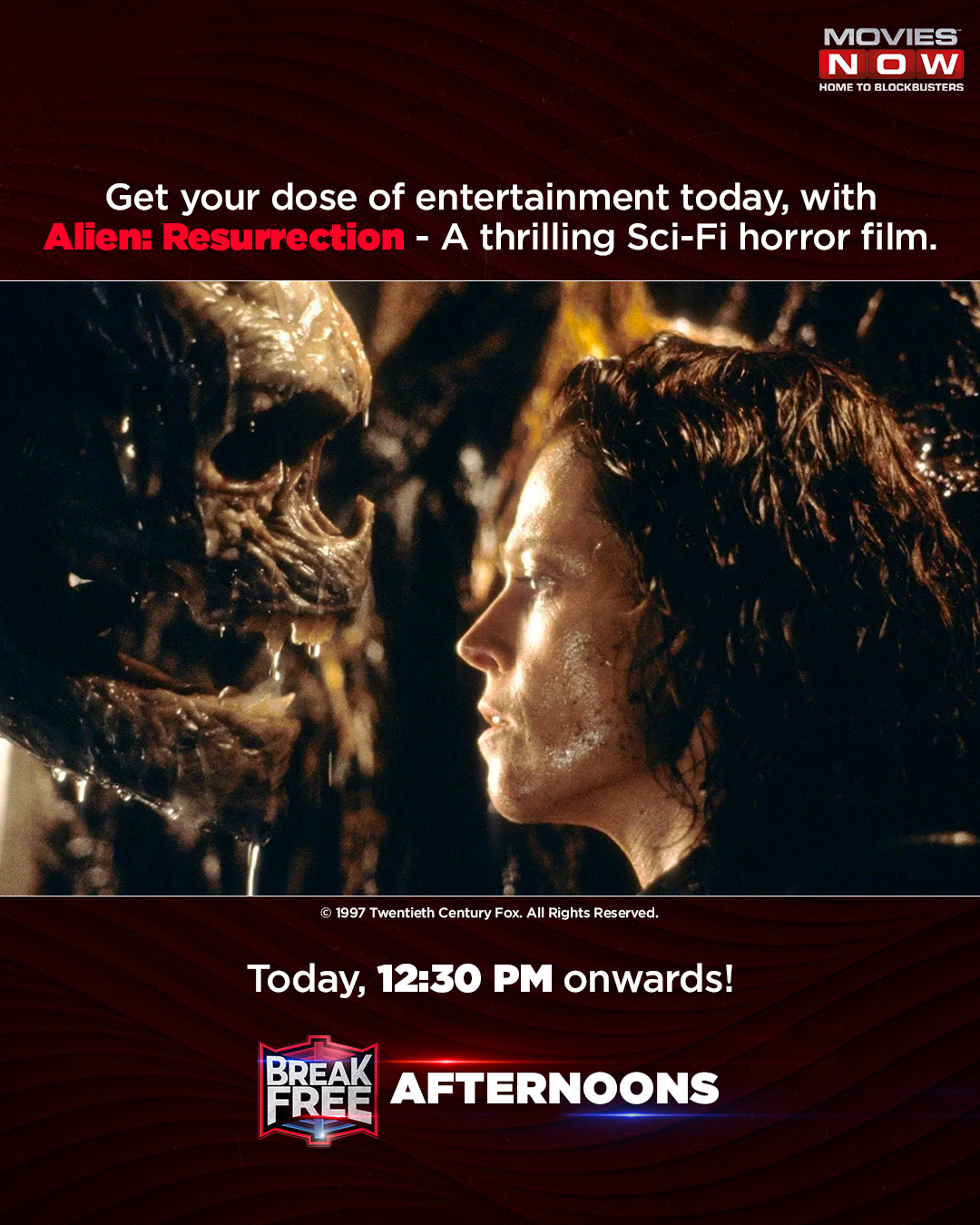 Free films to watch now sale