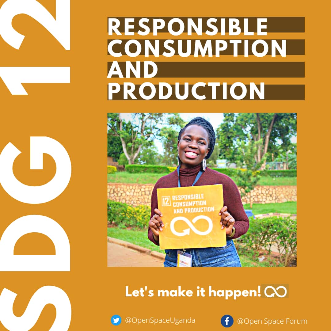 OpenSpaceUganda's tweet photo. Are you aware that achieving #SDG12 could solve issues like unemployment, poverty, unsettling health issues caused by poor waste disposal, peace & justice?
#Sesaamu
#LocalizingSDGs
#LeavingNoOneBehind
#SDGsInReality https://t.co/OK4PHZMb5n