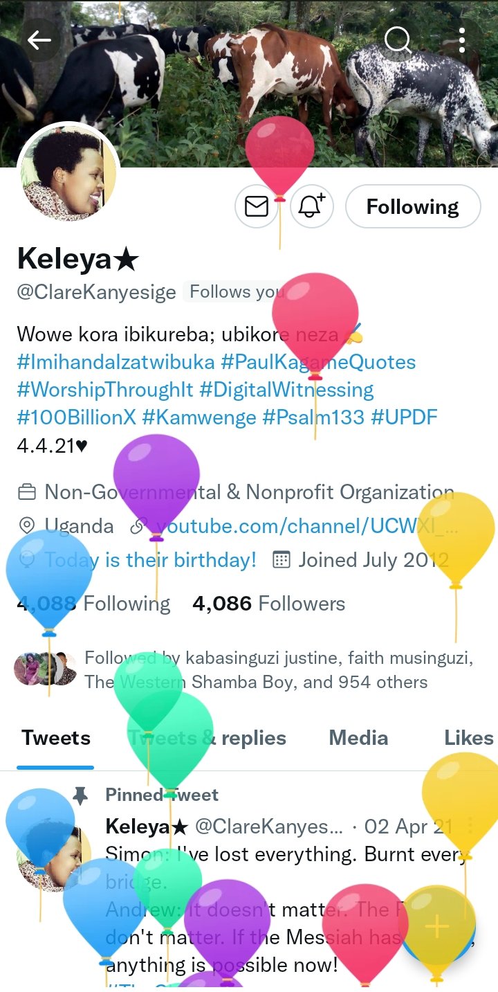Kosea Abaho Ahimbisibweosb Clarekanyesige Eikyiriza Dr Kitayimbwa Lidykitz Kasorojimmy Mugisha Lyn namara Birungimeem Muzooracliff Online Cou Clarekanyesige You Are Loved And Celebrated Happy Birthday