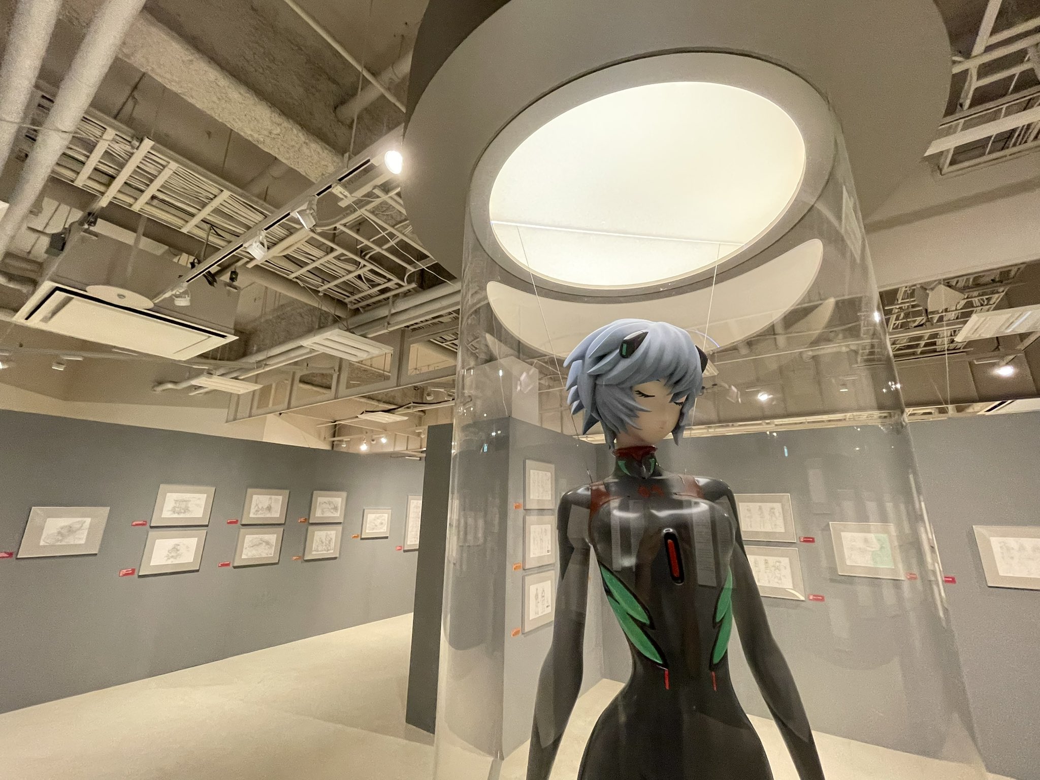 シン エヴァンゲリオン 原作 エヴァンゲリオン 綾波レイ高岡市立