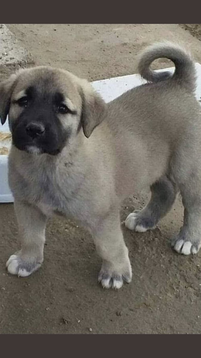 Günaydın huzurlu geçsin gününüz🙏☕️