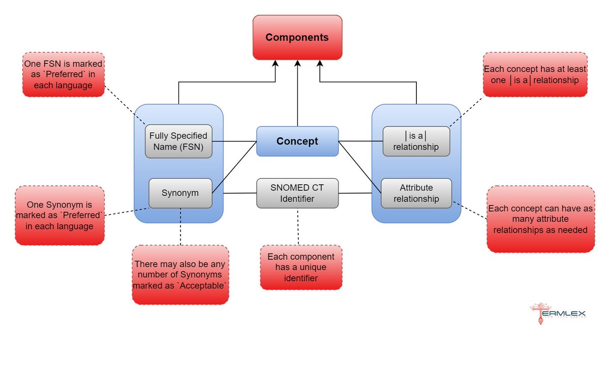 termlex's tweet photo. Confused about SNOMED CT and don’t know where to start?  The first part of our `SNOMED CT: An Introduction` series of articles is now live on #medium ! Check it out here: https://t.co/RYfN9myjpx

You can check out our other Medium articles here: https://t.co/wkiQKFDlhz

#SNOMED https://t.co/XZIziMlNxP