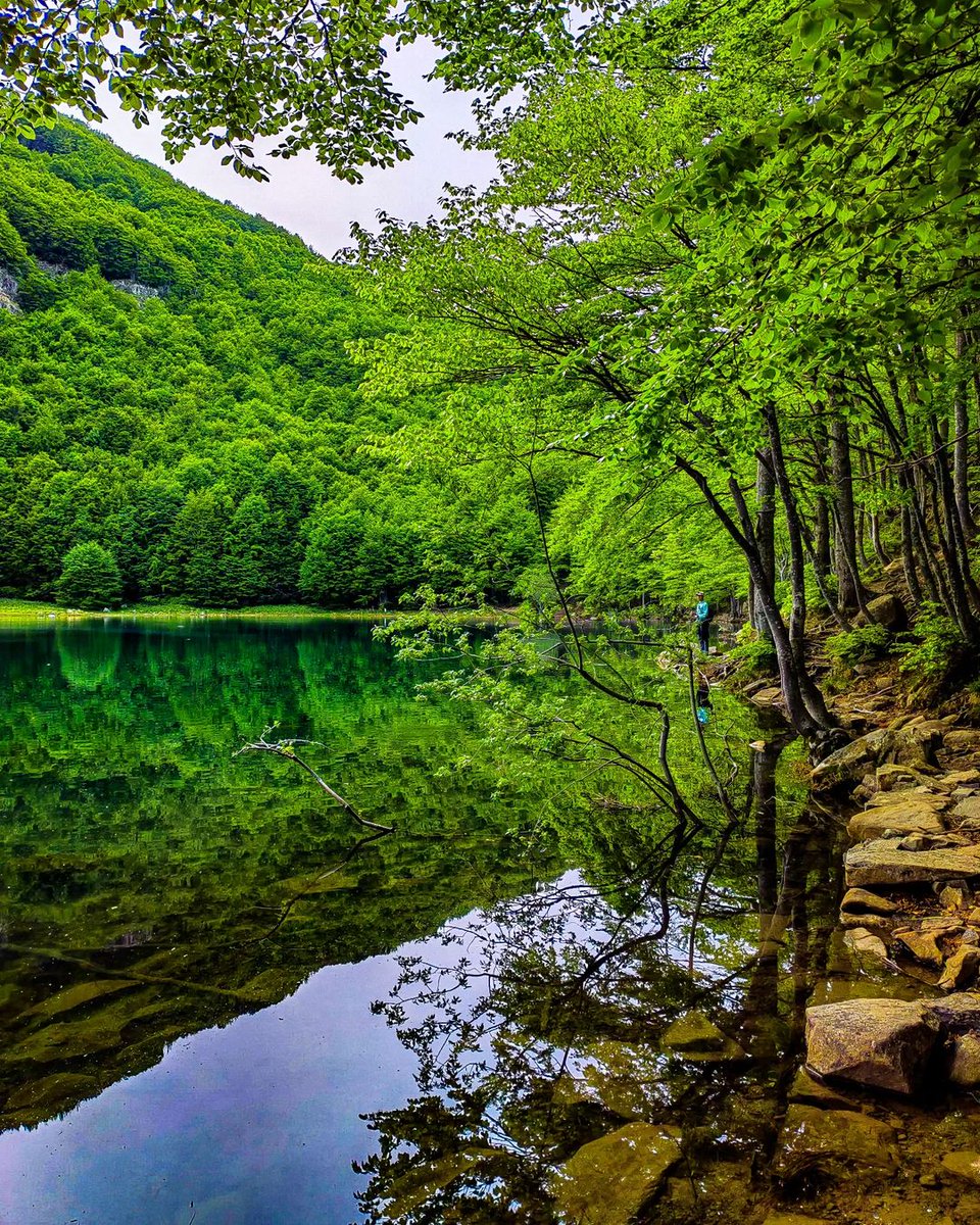 ModenaDintorni's tweet photo. Buongiorno dal #LagoSanto, immerso nel cuore verde del nostro bellissimo Appennino Tosco Emiliano ๐๐
Ph: manuelafavi | Via #modenaedintorni https://t.co/1lPqlSO3zA