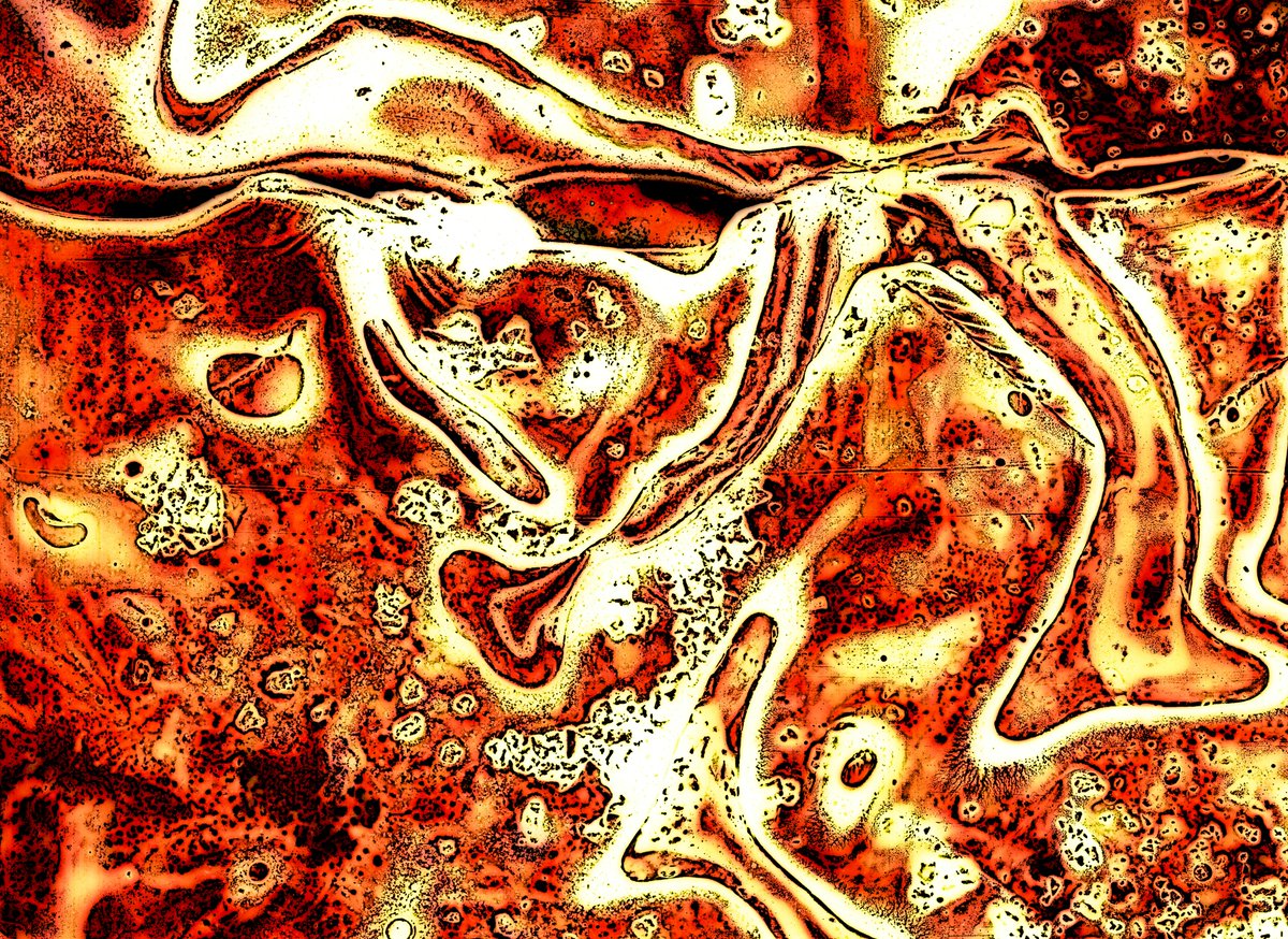 👉👉 !! Starting a 10 000 follower giveaway !! 👈👈

If I hit 10 000 followers then the lucky person who Follows and Retweets this post will win THIS  #movement #nft in 2022 🎉🎉

#NFTGiveaway #NFTs
opensea.io/assets/matic/0…