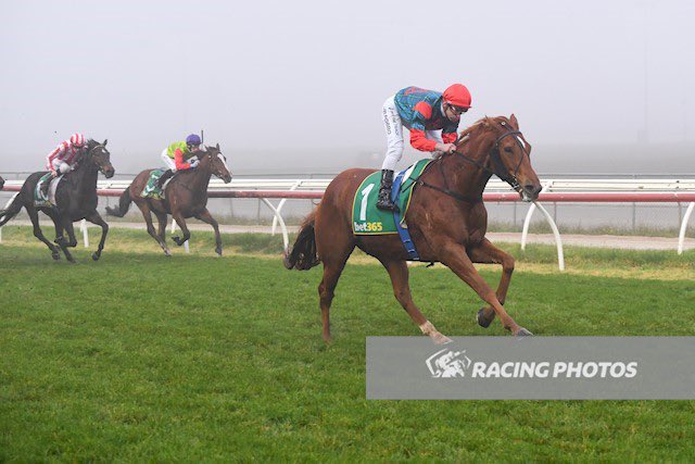 Cloud9Tbreds's tweet photo. 💪🥇WINNER, WINNER🥇💪
#EITILT emerges from the fog @KilmoreRC today a long way in front!
That’s win #6 for ‘Big Red’ and continues a great run for Cloud 9 and @SonaBloodstock on the back of #Serenaur winning earlier in the week! https://t.co/ItGY1jcJSE