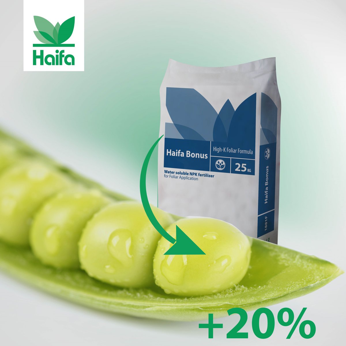 Did you know? Foliar spray with Haifa Bonus™ increases soybean yield by 20%! 
Click to learn how bit.ly/3lMREMq