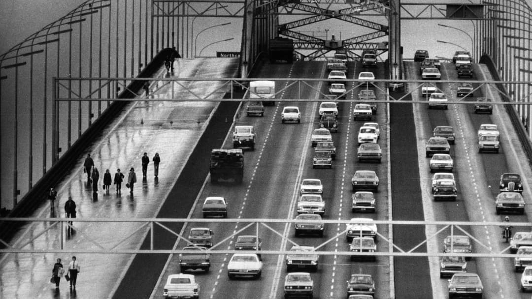 Critical_Ass tweet media