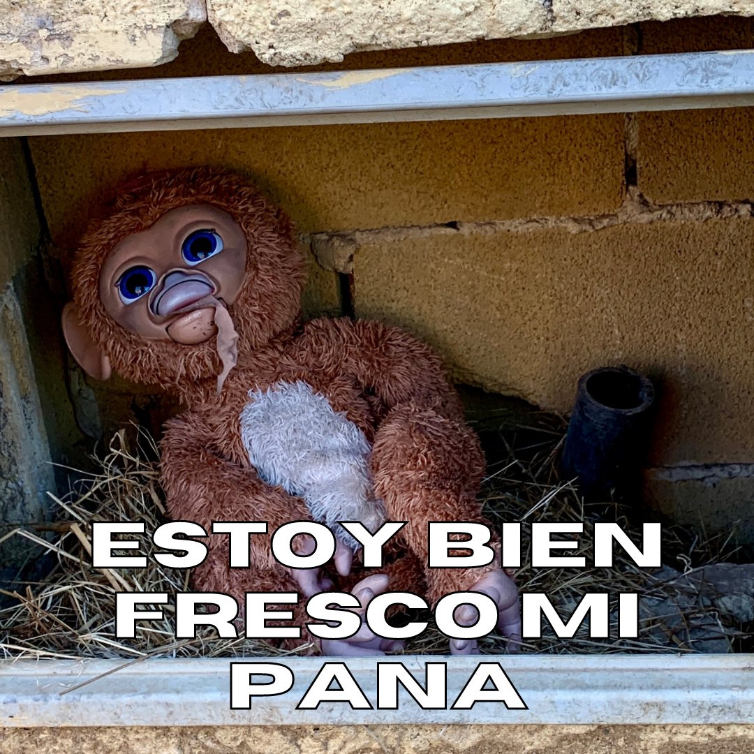 solum_energy's tweet photo. @skereunpesado POV: Cuando duermes 3 horas
#FelizJuevesATodos #suenoContigo #work #afterparty #shitpost #resaca #meme #Spain https://t.co/ap0oXdQsYQ
