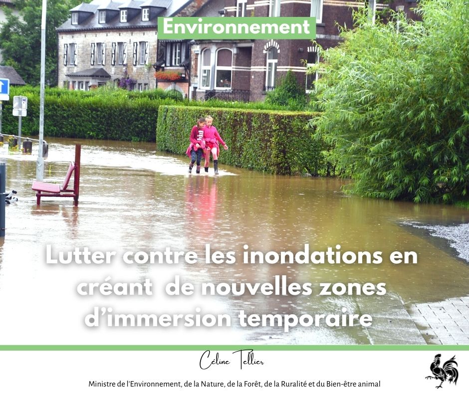 La reméandration des cours d’eau et la création de zones d’immersion temporaire sont des actions innovantes et modernes fondées sur la nature. Elles sont par ailleurs positives pour la biodiversité.
ℹ bit.ly/3N252YY
