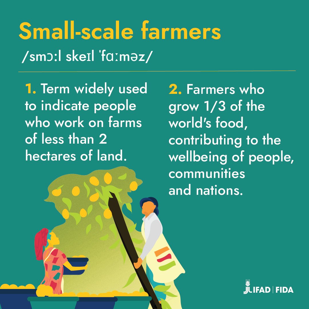 International Fund for Agricultural Development tweet media