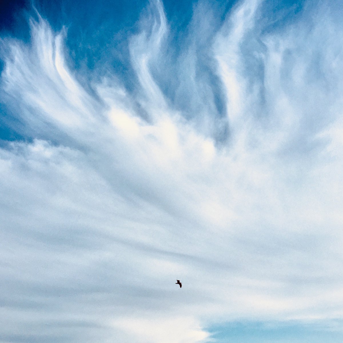 Morgan Buchanan tweet media