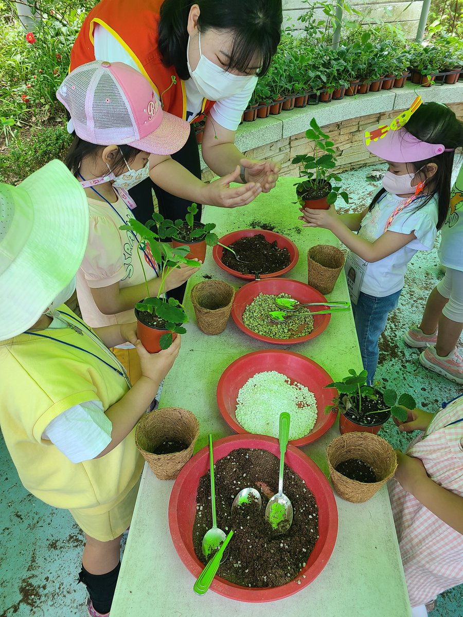 #성남시어린이급식관리지원센터 에서
셋째날 '채소야 친구하자' 프로그램이 진행되었습니다😘
도촌제3어린이집, 뽀뽀뽀 유치원 친구들이
다양한 땅속, 잎, 열매 채소들을 만져보고
딸기 모종을 심어본 후🍓
앞치마를 입고 요리사 모자를 쓰고
배추로 김치를 만들어 봤어요
친구들의 모습을 만나볼까요?