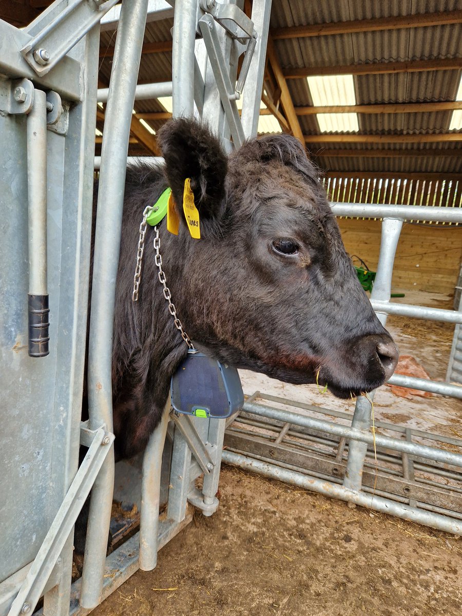 Dan Smith tweet media