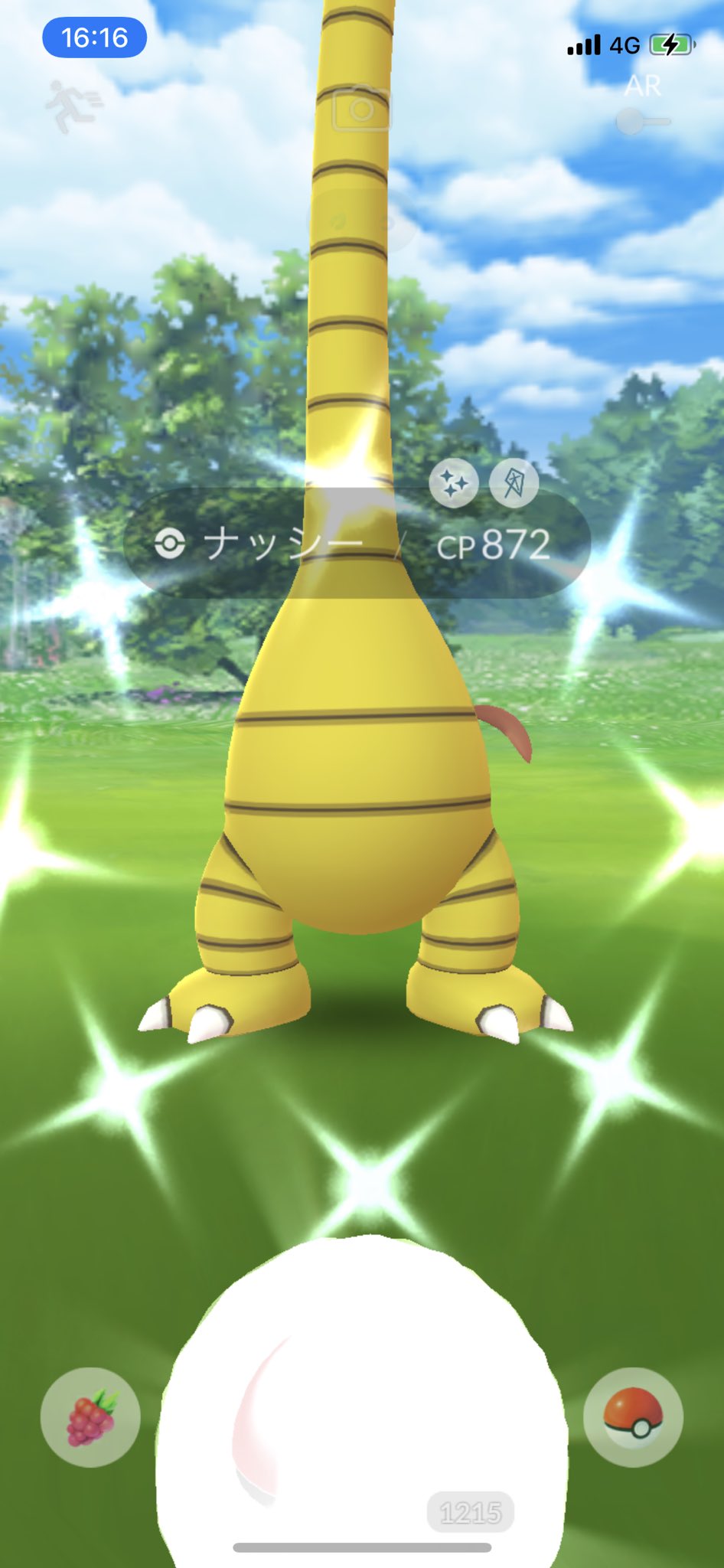 Kenjitchi コミデイ以外で久しぶりの色違い ポケモンgo アローラ ナッシー色違い T Co Qqdhr6ol10 Twitter